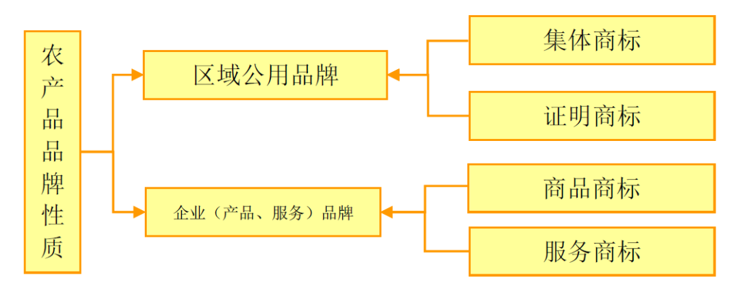 微信图片_20210111131514.png