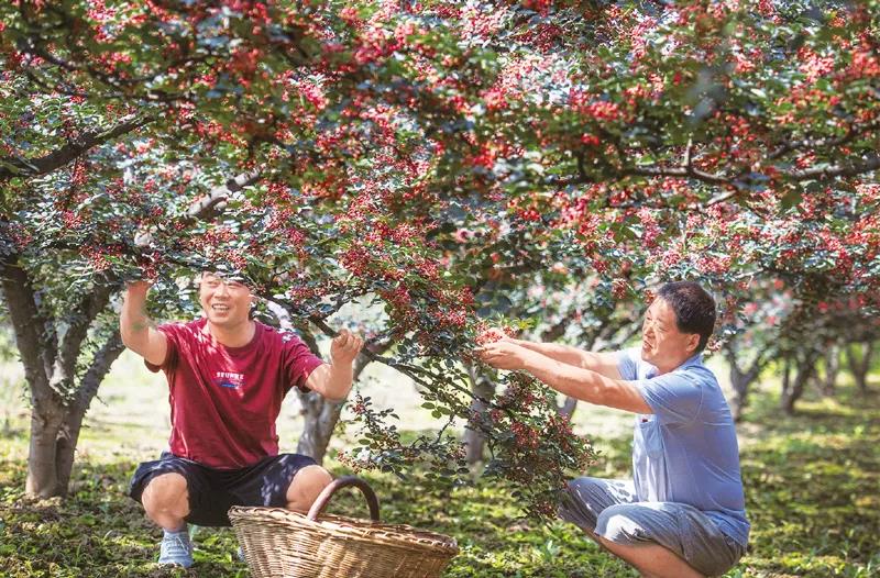 微信图片_20210220104105.jpg 微信图片_20210220104105.jpg