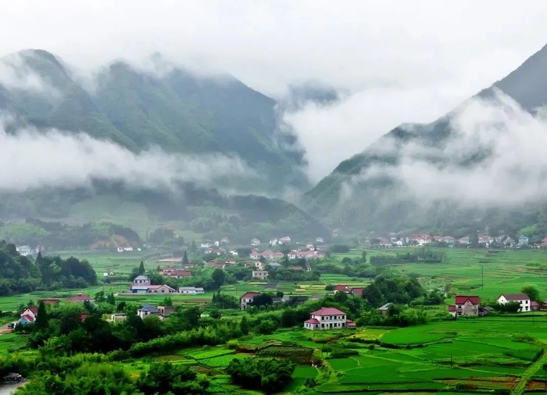 微信图片_20210125085631.jpg 微信图片_20210125085631.jpg