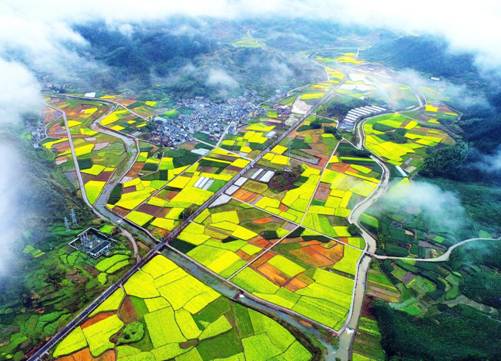 1127004632_16111267492901n.jpg 1127004632_16111267492901n.jpg