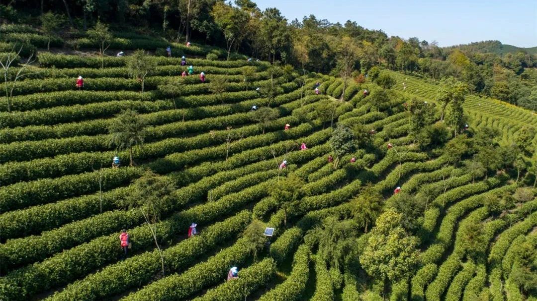 微信图片_20210324130415.jpg 微信图片_20210324130415.jpg