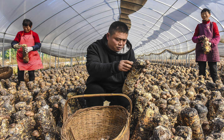 1612145406105_601762fe159bb83d2c9b0dc3.jpg 1612145406105_601762fe159bb83d2c9b0dc3.jpg