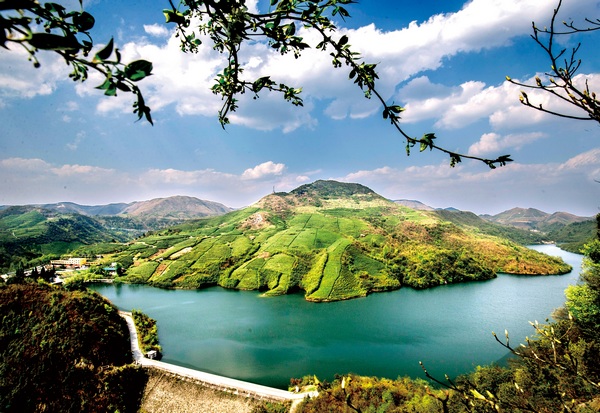 LOCAL202102241306000327239598976.jpg LOCAL202102241306000327239598976.jpg