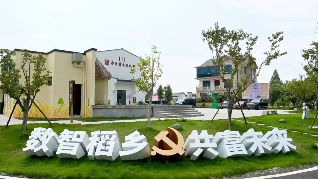 余杭街道永安村:闯出乡村振兴新“稻”路