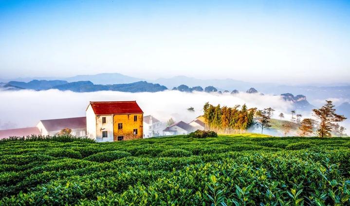 1606124560472_5fbb841077edbf5bf4157ebe.jpg 1606124560472_5fbb841077edbf5bf4157ebe.jpg