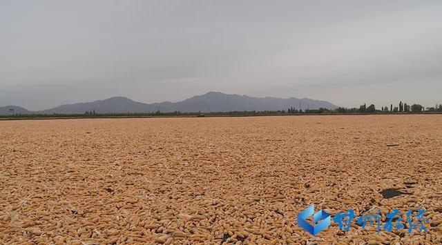 cf1b9d16fdfaaf51d7ba9c9c9639bee6f01f7a28.jpg cf1b9d16fdfaaf51d7ba9c9c9639bee6f01f7a28.jpg