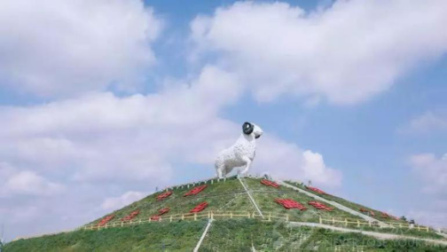 微信图片_20201116085929.png